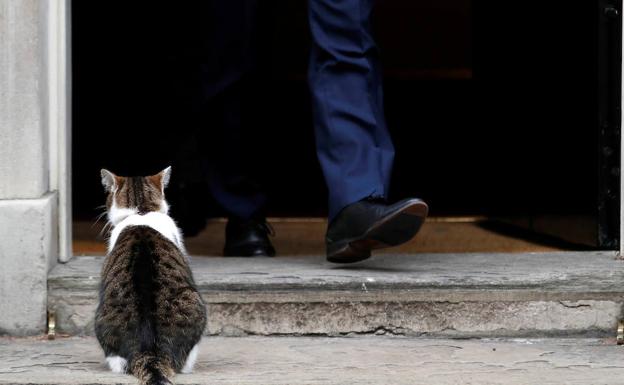 Larry, el pasado jueves, en la puerta de la residencia de Theresa May.