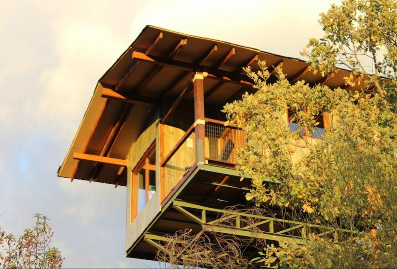 La Cabaña Aire (Cáceres). Situada en plena Sierra de Gata, forma parte de una iniciativa de ecoturismo. Junto a 4 casas más, ha sido diseñada según los principios de la permacultura, que protege los ecosistemas naturales y genera sus propios alimentos de manera ecológica.