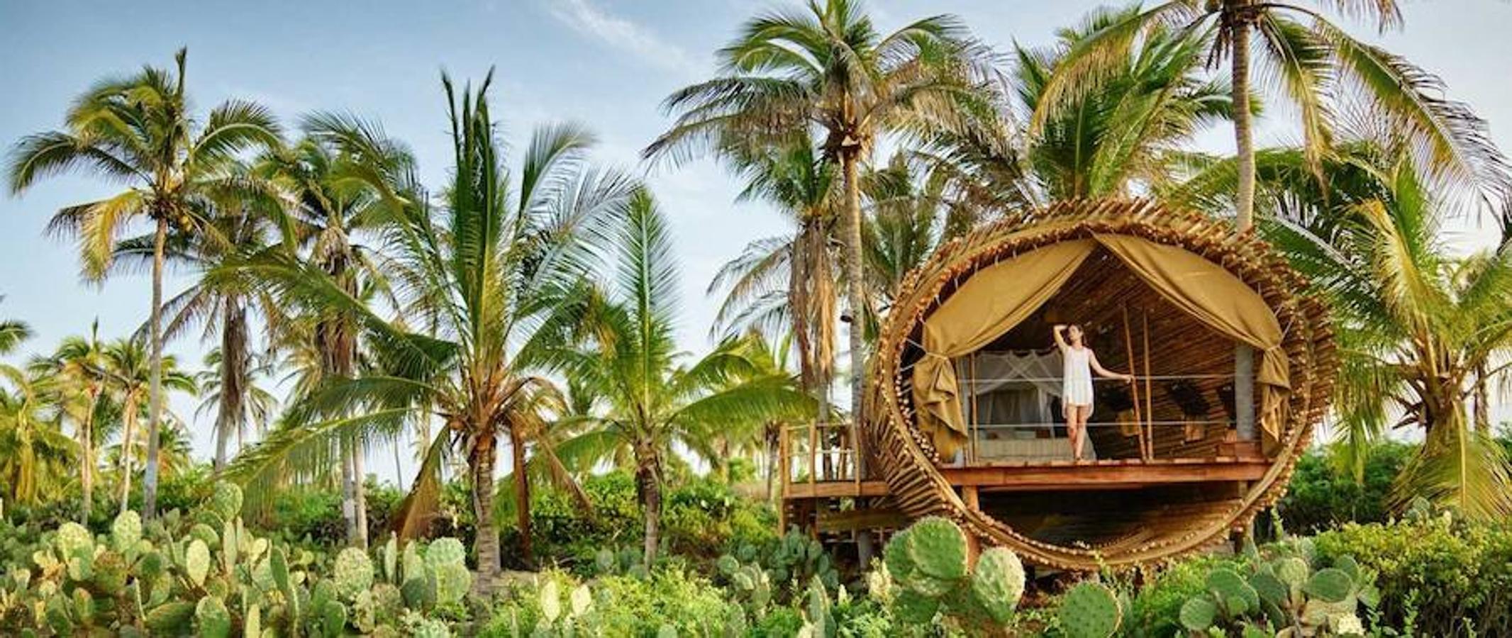 La Casa del Árbol del resort Playa Viva. Con vistas al mar y a la vegetación más virgen de México, se ha convertido en uno de los lugares perfectos para reencontrarse espiritual y terrenalmente. 