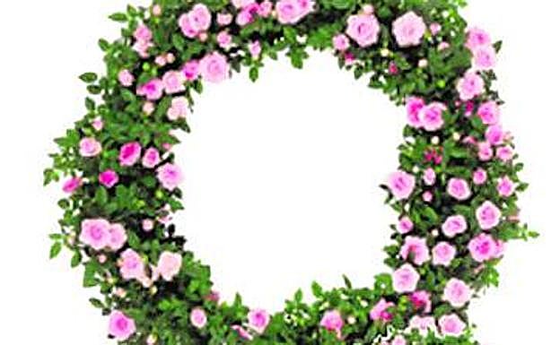 Coronas Eco Friendly.