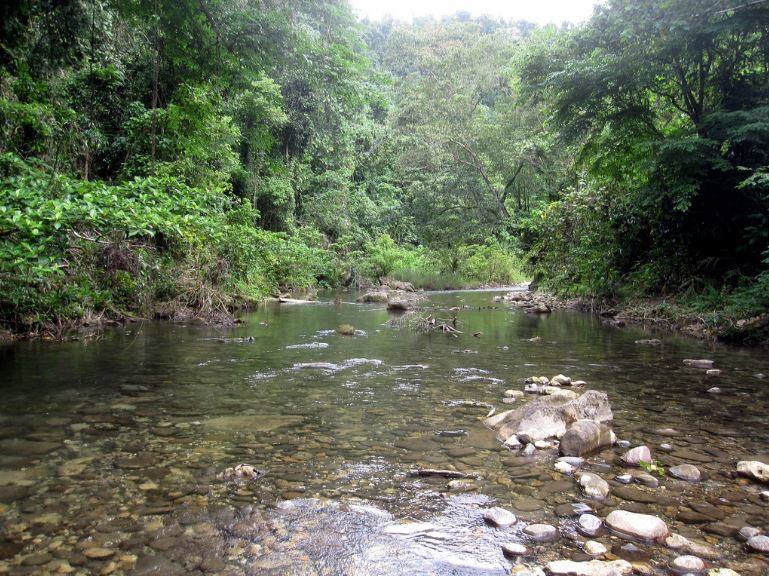 6.- Islas Salomón (Oceanía) | El archipiélago de Islas Salomón se extiende al sur de Nueva Guinea. Las Salomón se componen principalmente de las Islas Choiseul, las Islas de Nueva Georgia, la Isla de Santa Isabel, las Islas Guadalcanal y la Malaita (estas dos ultimas son las más frecuentadas) y, finalmente, la Isla de San Cristóbal. Hermosas playas de arena blanca rodean las aguas turquesas del archipiélago, muy apreciadas por los turistas y los nativos. Se puede bucear en sus aguas para ver los arrecifes de coral y los pecios de los navíos de guerra que datan de la Segunda Guerra Mundial. En 2016 recibió 22.000 turistas.