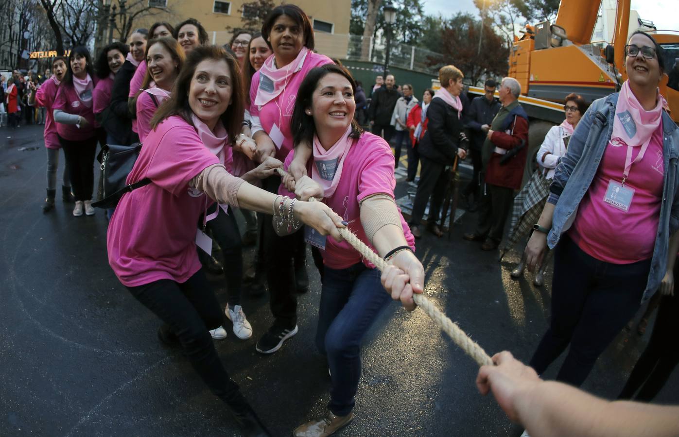 Unas doscientas mujeres con cáncer de mama, familiares y amigos han plantado a pulso la Falla Palleter-Erudito Orellana dentro del proyecto 'Plantar la Esperanza'. La comisión pretende concienciar sobre la necesidad potenciar la investigación contra este tipo de tumor. La 'plantà al tombe' ha contado con una grúa, como es habitual, por motivos de seguridad.