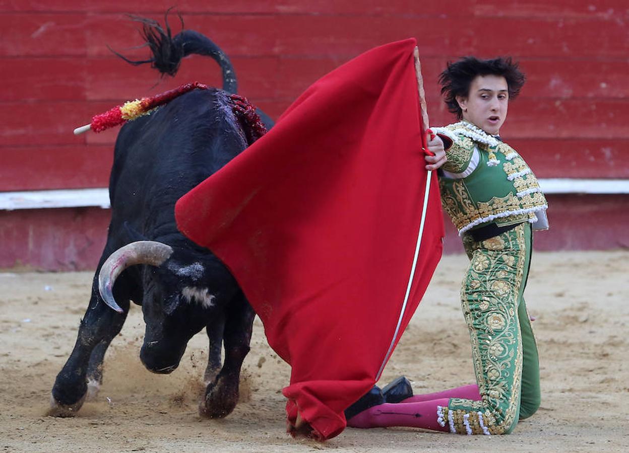 Roca Rey se ha proclamado triunfador absoluto de la corrida de toros de este viernes en Valencia con una faena tremendamente creativa y emocionante. El torero peruano ha salido a hombros de la plaza en la Feria de Fallas. Los tendidos han estado llenos de caras conocidas.