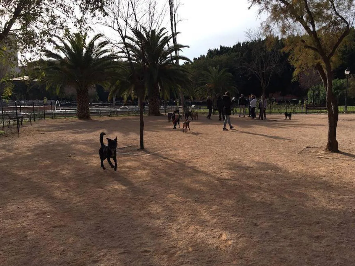 Situada en la plaza de Enric Granados, en el barrio de Patraix, esta instalación está formada por una superficie de 680 metros cuadrados. Este lugar, además, cuenta con bancos para que los dueños observen, tranquilamente, a sus mascotas. 