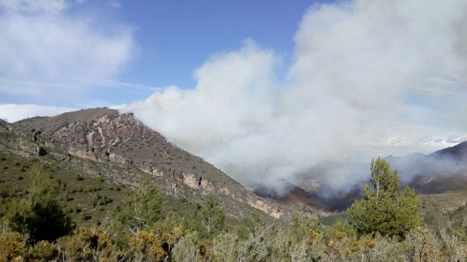 Efectivos aéreos y terrestres de bomberos trabajan en la extinción de un incendio en Montán