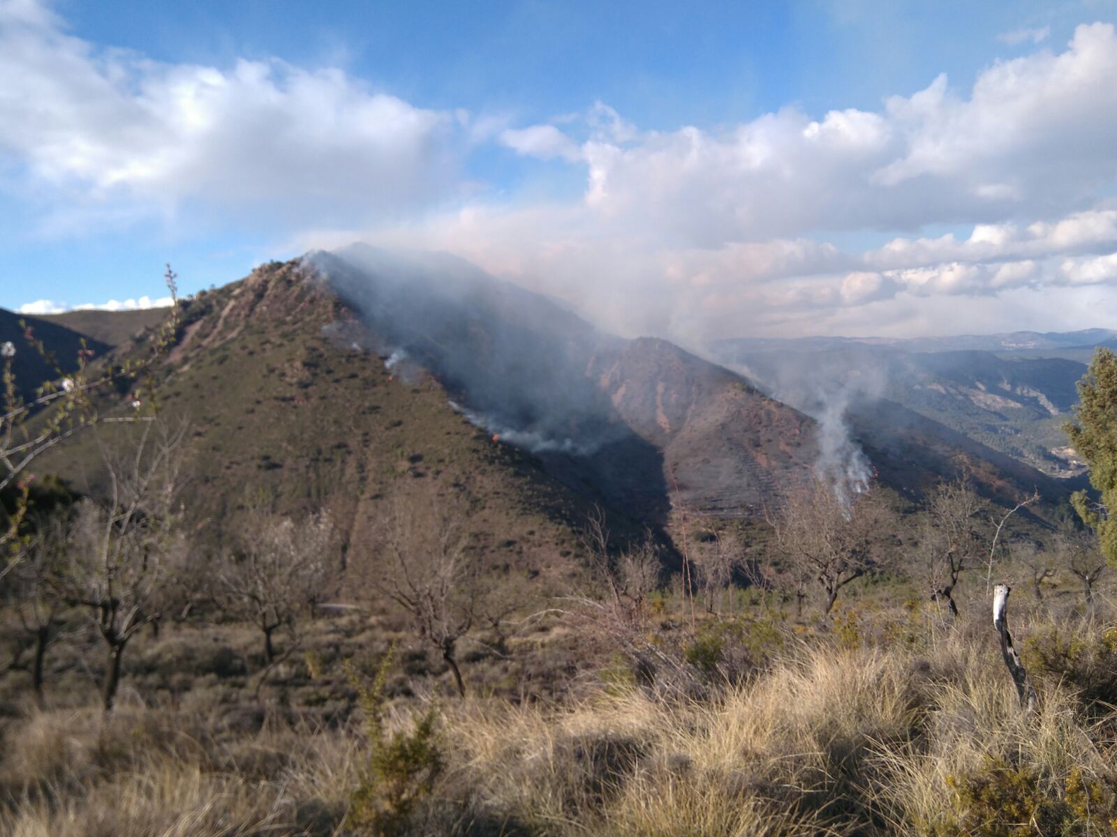 Efectivos aéreos y terrestres de bomberos trabajan en la extinción de un incendio en Montán