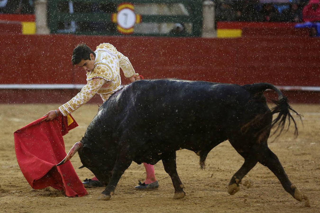 El joven matador venezolano Jesús Enrique Colombo cortó la única oreja concedida en la corrida que cerró este lunes la feria de Fallas, celebrada bajo un aguacero y en la que los fallos con la espada dejaron sin premio dos buenas y templadas faenas de los extremeños Antonio Ferrera y Ginés Marín.