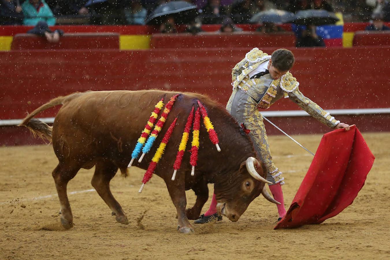 El joven matador venezolano Jesús Enrique Colombo cortó la única oreja concedida en la corrida que cerró este lunes la feria de Fallas, celebrada bajo un aguacero y en la que los fallos con la espada dejaron sin premio dos buenas y templadas faenas de los extremeños Antonio Ferrera y Ginés Marín.