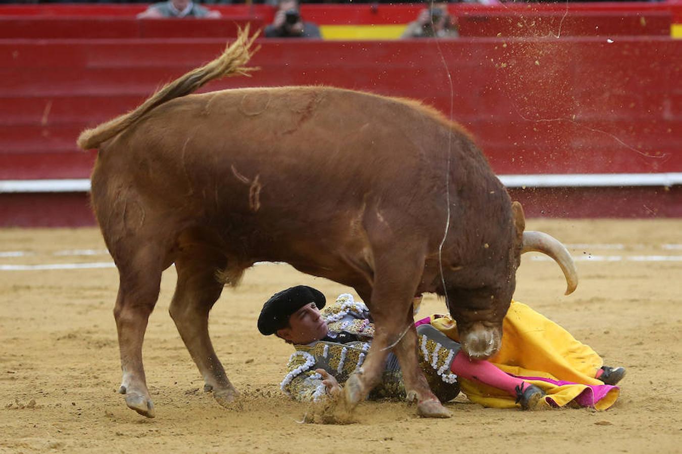 El joven matador venezolano Jesús Enrique Colombo cortó la única oreja concedida en la corrida que cerró este lunes la feria de Fallas, celebrada bajo un aguacero y en la que los fallos con la espada dejaron sin premio dos buenas y templadas faenas de los extremeños Antonio Ferrera y Ginés Marín.