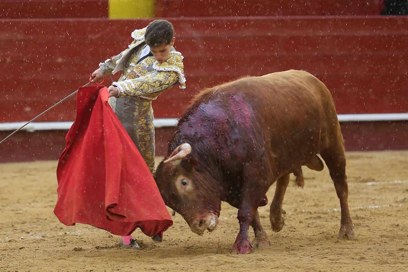 El joven matador venezolano Jesús Enrique Colombo cortó la única oreja concedida en la corrida que cerró este lunes la feria de Fallas, celebrada bajo un aguacero y en la que los fallos con la espada dejaron sin premio dos buenas y templadas faenas de los extremeños Antonio Ferrera y Ginés Marín.