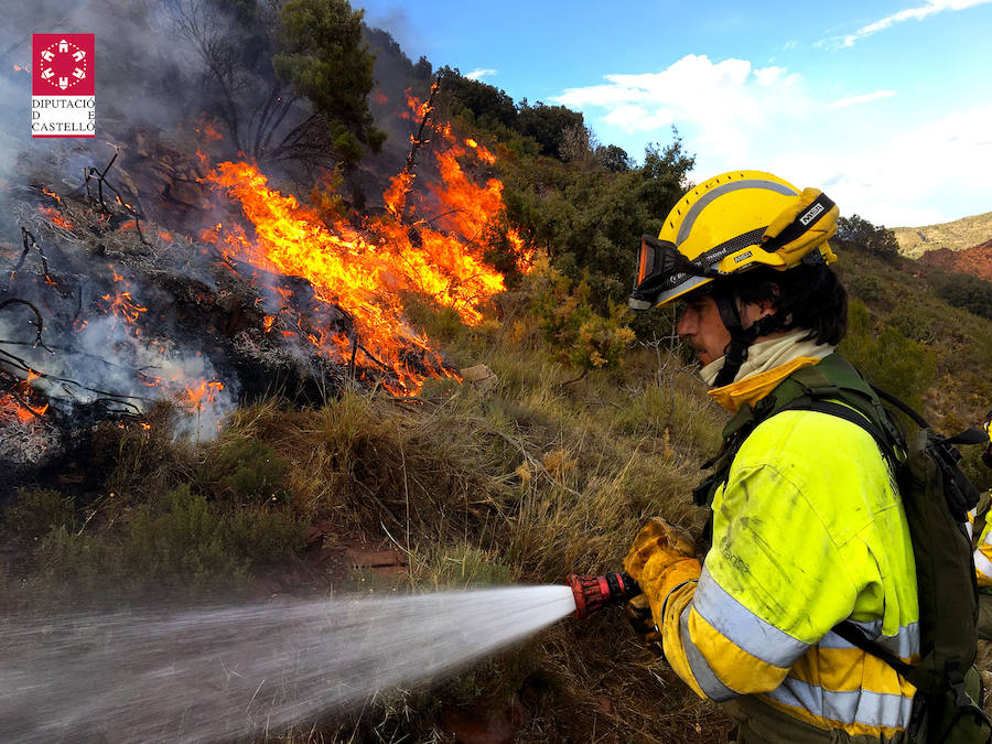 Fotos: Incendio forestal en el Collado de Arenoso de Montán (Castellón)