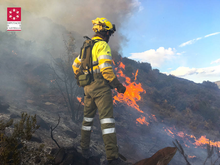 Fotos: Incendio forestal en el Collado de Arenoso de Montán (Castellón)