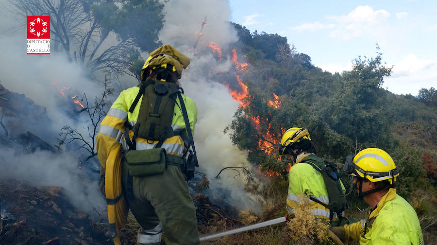 Fotos: Incendio forestal en el Collado de Arenoso de Montán (Castellón)