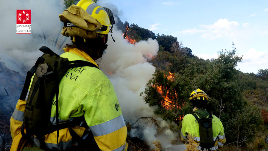 Fotos: Incendio forestal en el Collado de Arenoso de Montán (Castellón)