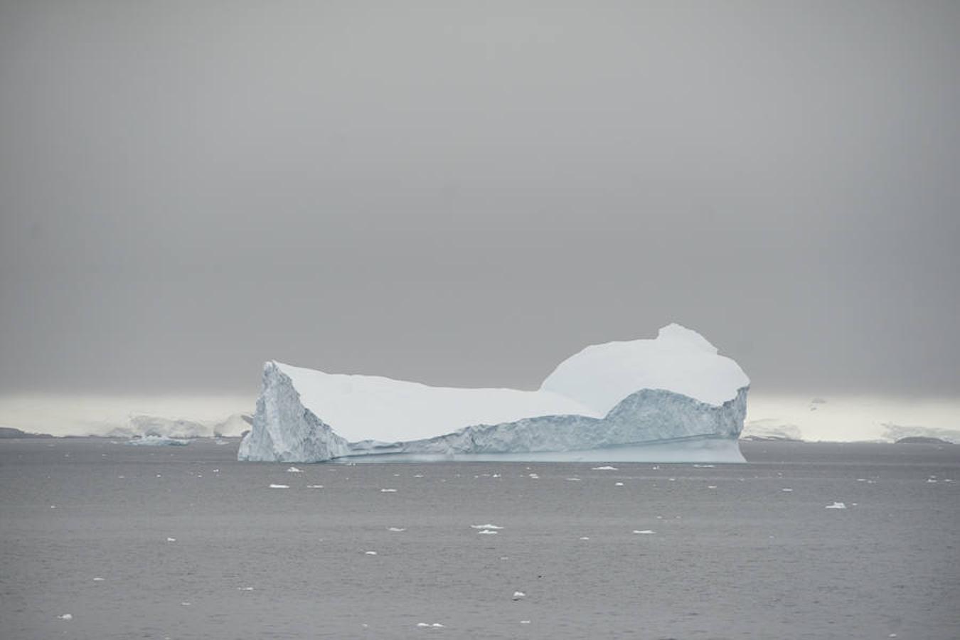 Greenpeace, la oenegé internacional que lucha por proteger y defender el medio ambiente, organizó un viaje a la Antártida para crear conciencia sobre la situación actual de la zona, recopilando vídeos e imágenres, con el fin de respaldar una propuesta de la Unión Europea para crear un refugio seguro para la vida marina, afectada por la pesca industrial.