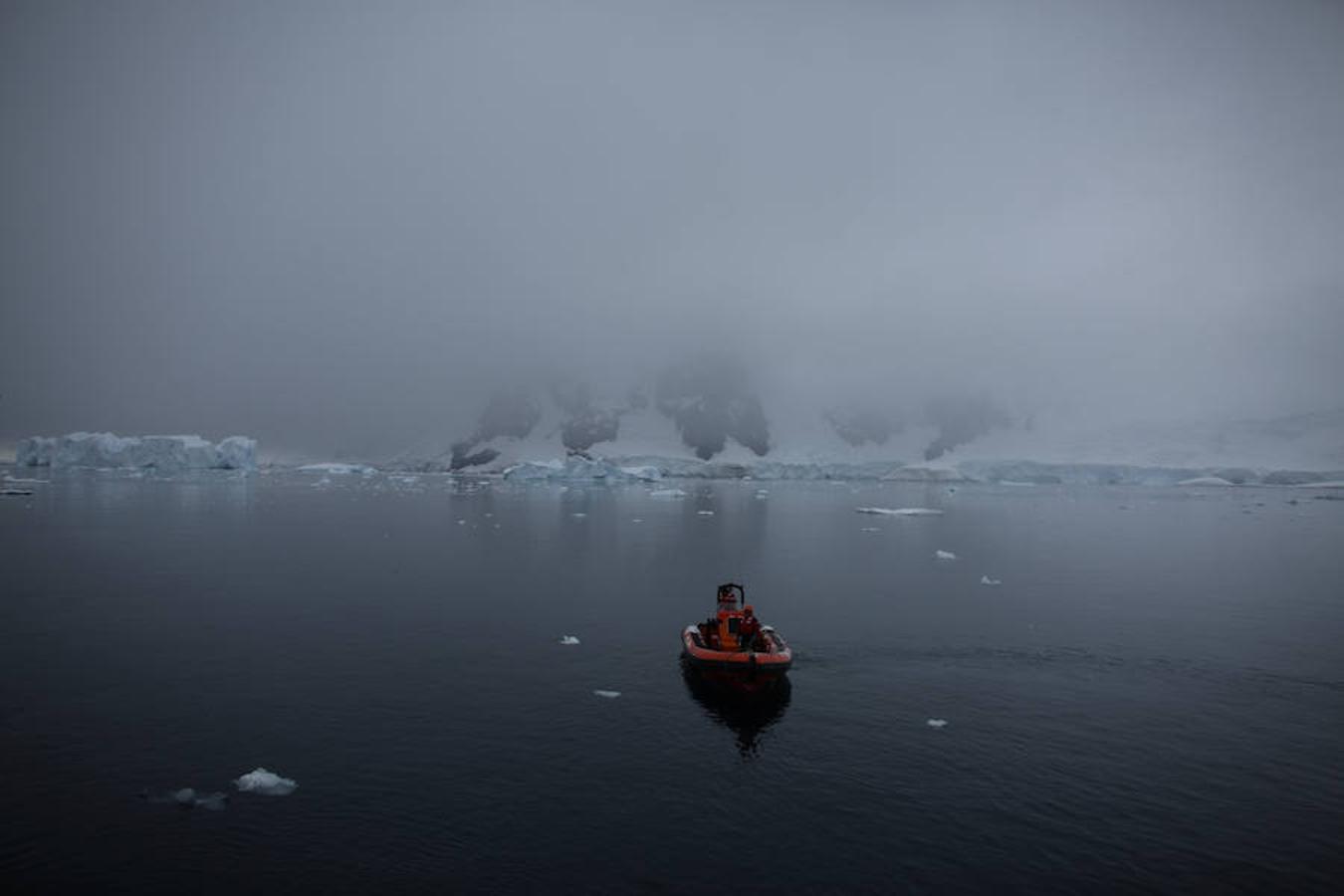Greenpeace, la oenegé internacional que lucha por proteger y defender el medio ambiente, organizó un viaje a la Antártida para crear conciencia sobre la situación actual de la zona, recopilando vídeos e imágenres, con el fin de respaldar una propuesta de la Unión Europea para crear un refugio seguro para la vida marina, afectada por la pesca industrial.