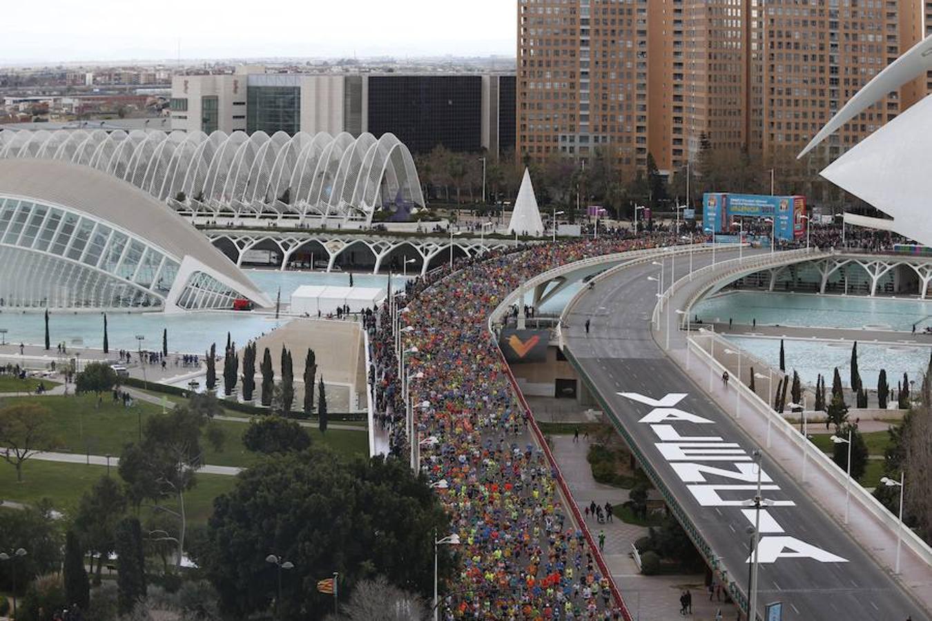 Fotos: Mundial de Medio Maratón de Valencia