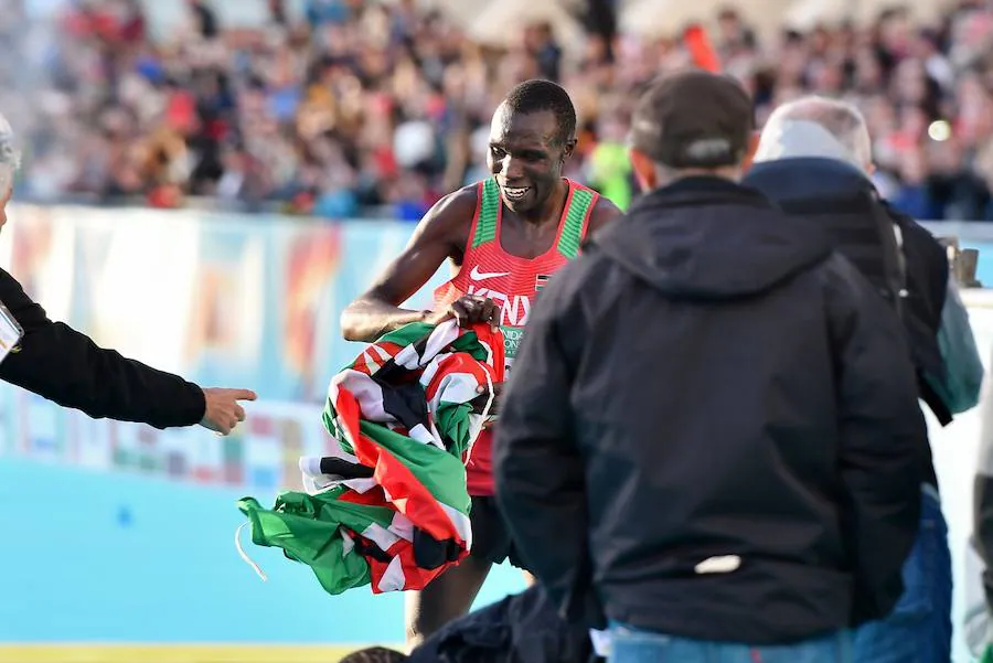 Fotos: Búscate en el Medio Maratón de Valencia 2018