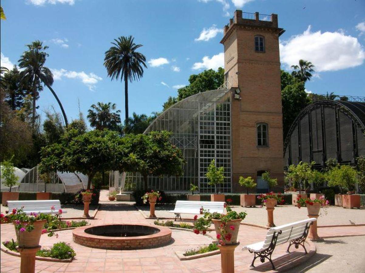 6.- Jardín Botánico (C/ Quart, 80) | Propiedad de la Universitat de València, el Botánico representa la mayor exposición municipal de investigación botánica. Iniciado en 1802 sobre los terrenos del Huerto de Tramoieres, se creó influenciado por la Ilustración con el conocimiento como objetivo principal. 