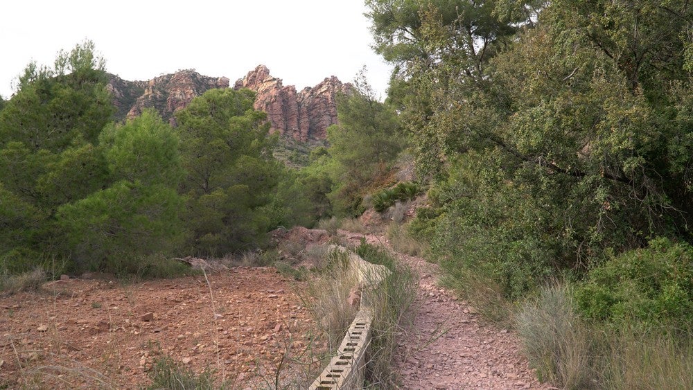 El sendero dominguero por excelencia de la Sierra Calderona, paso a paso