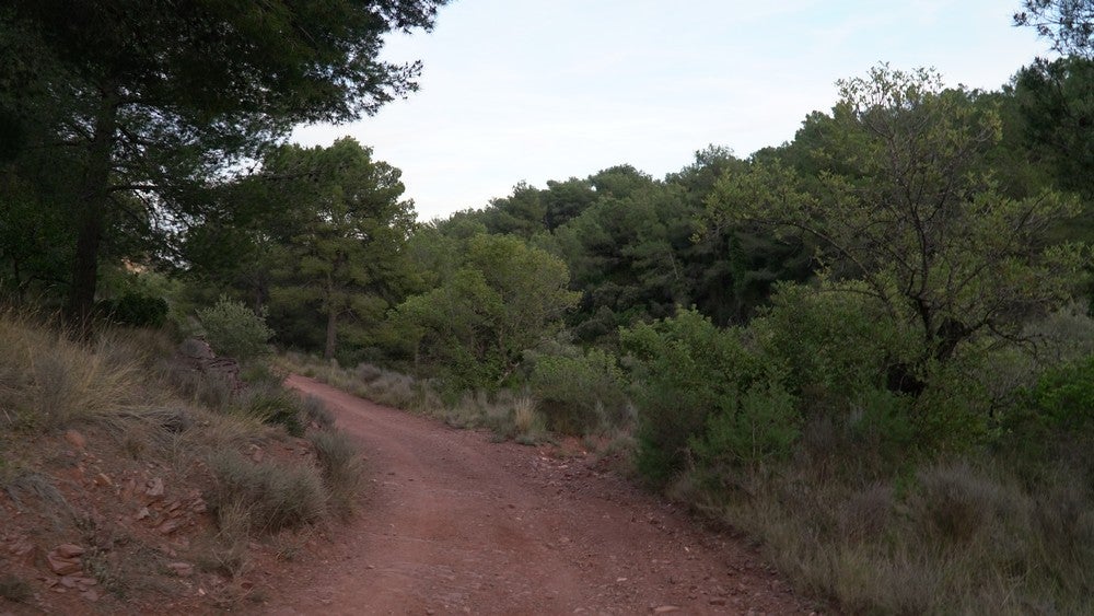 El sendero dominguero por excelencia de la Sierra Calderona, paso a paso