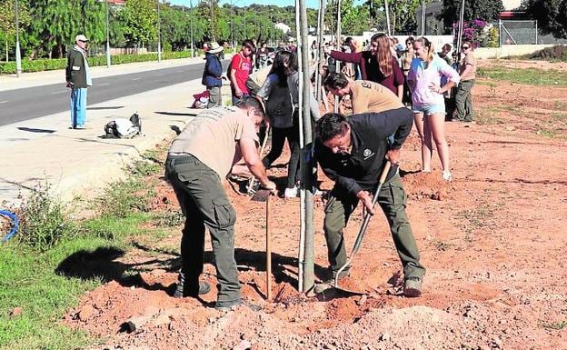 Un grupo de alumnos planta árboles en una actividad. 