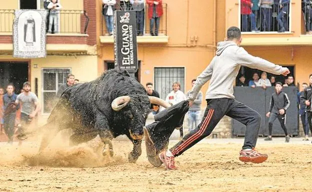 Festejo de bous al carrer en la Vall d'Uixó. 