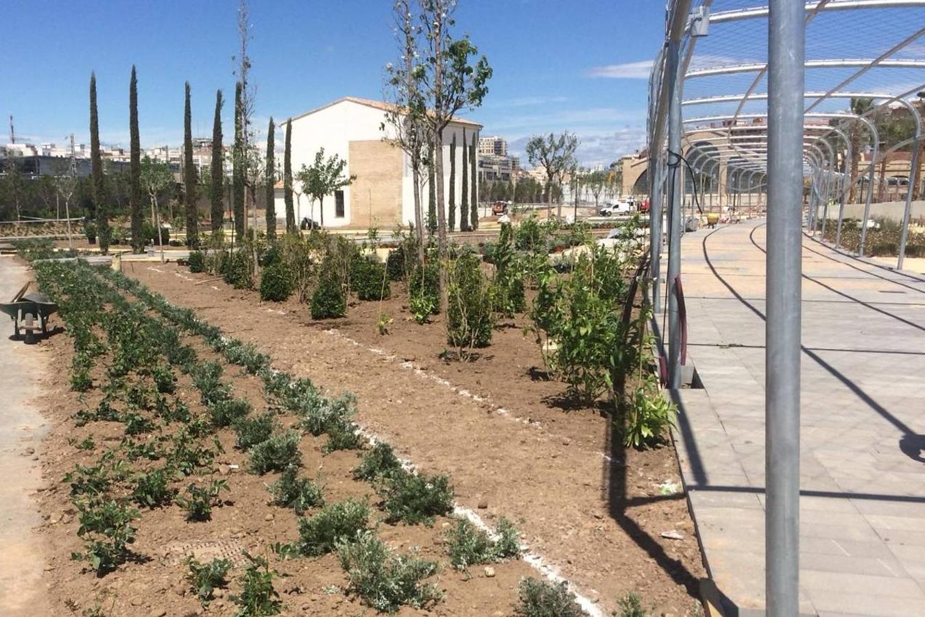 Las obras del jardín suman ya 800 árboles y buena parte de las 100.000 plantas