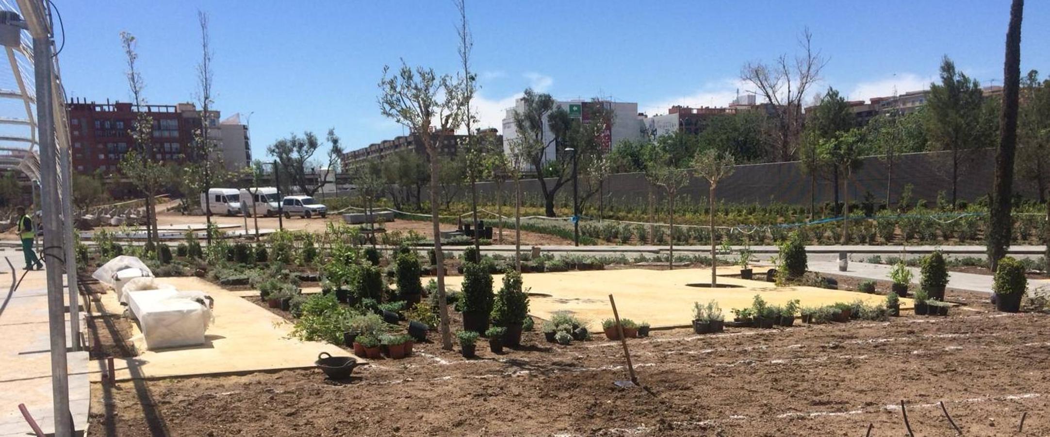 Las obras del jardín suman ya 800 árboles y buena parte de las 100.000 plantas