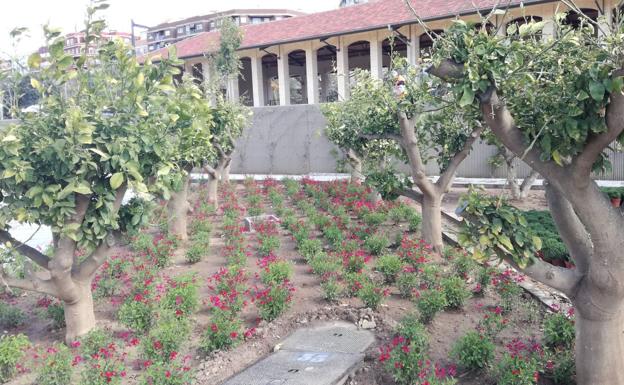 Parque Central de Valencia: Las plantas llegan al jardín