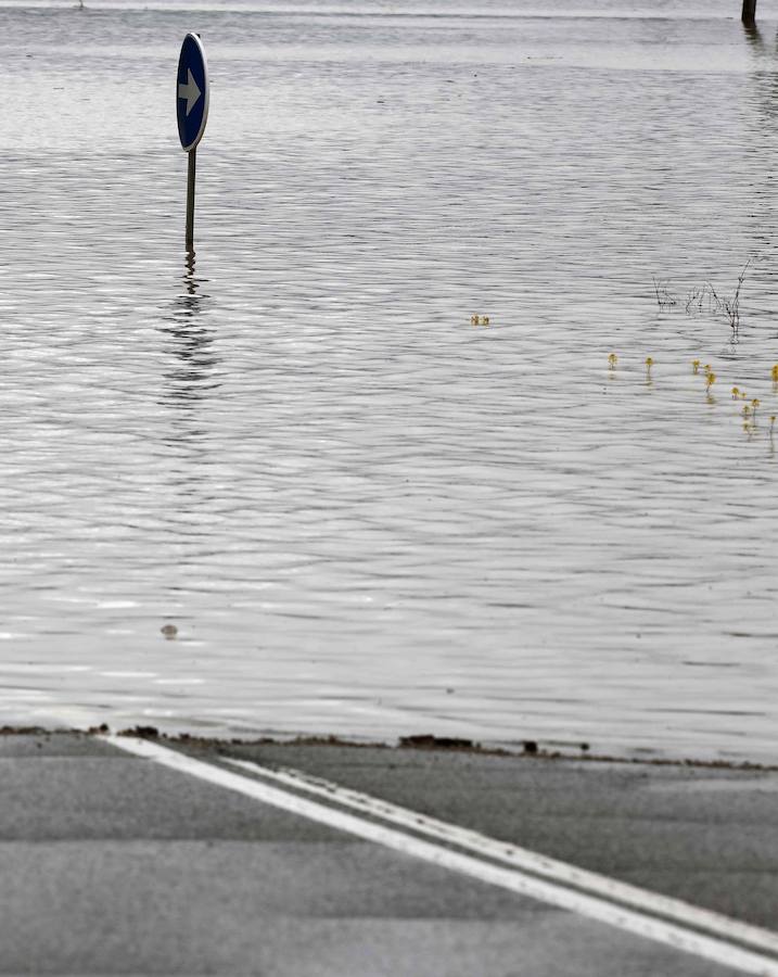 El Ebro ha provocado grandes problemas en municipios de la ribera de Navarra y Aragón. El río se ha desbordado en varios puntos anegados zonas declaradas de 'acción urgente'. Los niveles registrado han sido muy similares a los de 2015 e incluso en la capital aragonesa se han llevado a cabo cortes de tráfico dados los primeros desbordamientos del Ebro. La ministra de Agricultura, Isabel García Tejerina, ha visitado las zonas más afectadas sobre las que se rebaja la angustia en los próximos días pero que puede volver ante la previsión de lluvias de cara al fin de semana siguiente.