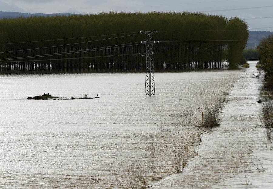 El Ebro ha provocado grandes problemas en municipios de la ribera de Navarra y Aragón. El río se ha desbordado en varios puntos anegados zonas declaradas de 'acción urgente'. Los niveles registrado han sido muy similares a los de 2015 e incluso en la capital aragonesa se han llevado a cabo cortes de tráfico dados los primeros desbordamientos del Ebro. La ministra de Agricultura, Isabel García Tejerina, ha visitado las zonas más afectadas sobre las que se rebaja la angustia en los próximos días pero que puede volver ante la previsión de lluvias de cara al fin de semana siguiente.