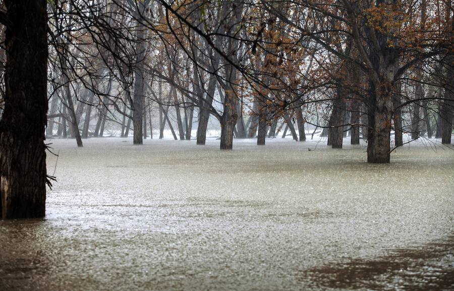 El Ebro ha provocado grandes problemas en municipios de la ribera de Navarra y Aragón. El río se ha desbordado en varios puntos anegados zonas declaradas de 'acción urgente'. Los niveles registrado han sido muy similares a los de 2015 e incluso en la capital aragonesa se han llevado a cabo cortes de tráfico dados los primeros desbordamientos del Ebro. La ministra de Agricultura, Isabel García Tejerina, ha visitado las zonas más afectadas sobre las que se rebaja la angustia en los próximos días pero que puede volver ante la previsión de lluvias de cara al fin de semana siguiente.