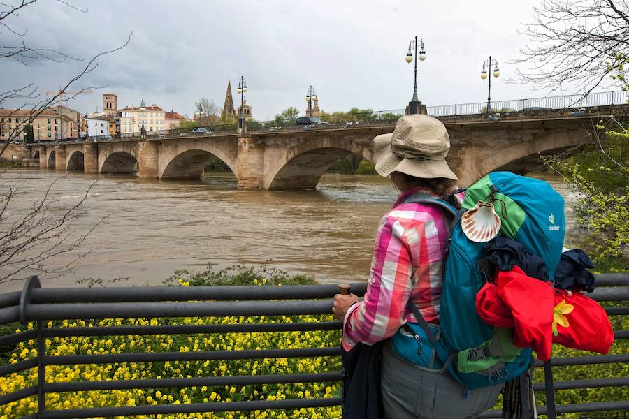 El Ebro ha provocado grandes problemas en municipios de la ribera de Navarra y Aragón. El río se ha desbordado en varios puntos anegados zonas declaradas de 'acción urgente'. Los niveles registrado han sido muy similares a los de 2015 e incluso en la capital aragonesa se han llevado a cabo cortes de tráfico dados los primeros desbordamientos del Ebro. La ministra de Agricultura, Isabel García Tejerina, ha visitado las zonas más afectadas sobre las que se rebaja la angustia en los próximos días pero que puede volver ante la previsión de lluvias de cara al fin de semana siguiente.