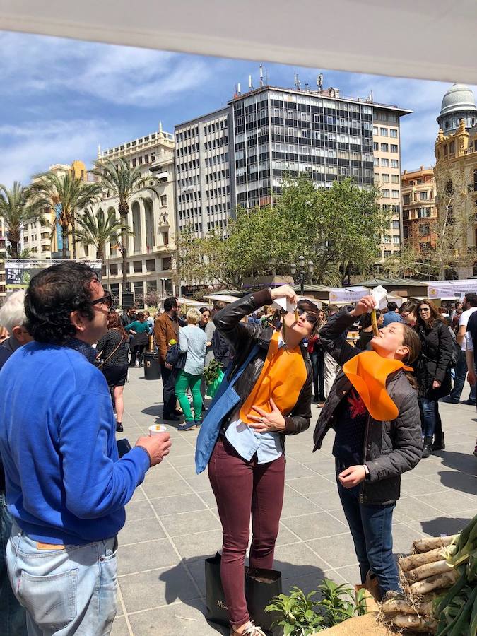 La Plaza del Ayuntamiento de Valencia se ha llenado de fogones durante este domingo en la tercera celebración del Tastarròs, una jornada gastronómica y festiva en torno al arroz que el año pasado congregó a 15.000 visitantes. Hasta un total de 22 prestigiosos restaurantes, presentes en esta iniciativa organizada por la D.O. Arroz de Valencia.