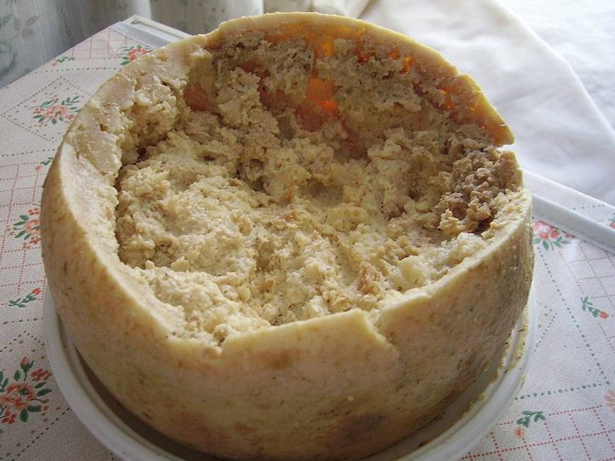 Casu Marza, típico de Cerdeña, es un queso de leche de oveja blando y descompuesto que sirve perfectamente como hogar para las larvas de la mosca del queso. Cuando pidas este plato puede que observes cómo los insectos se mueven dentro de este manjar. 