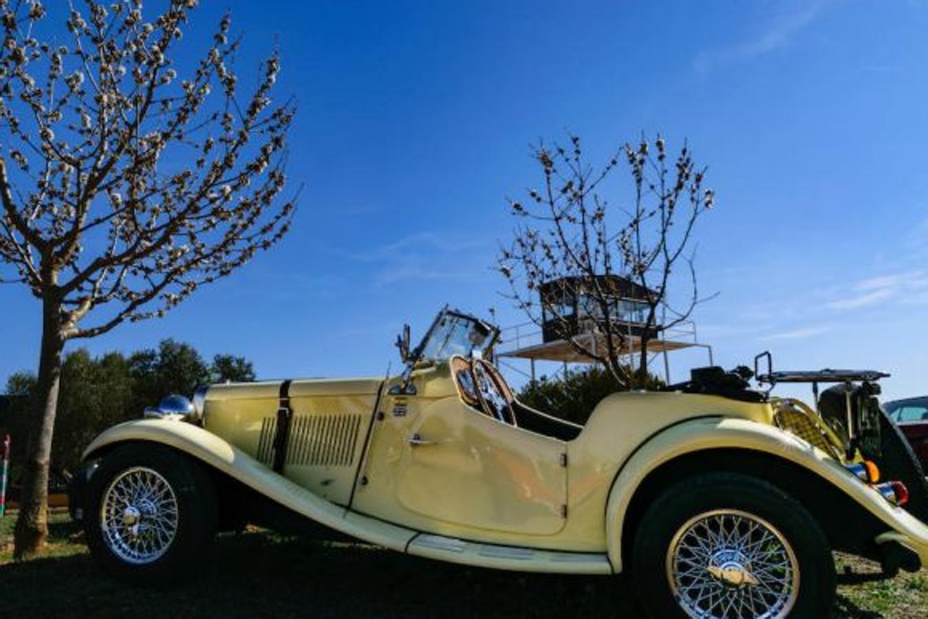 El club Horta Classics realizó el pasado fin de semana el V Encuentro de Amigos del Motor Clásico en el Aeródromo de Requena, en colaboración con Aeródromo de Requena y Club Aéreo Valencia, y la Fundación Aérea de la Comunidad Valenciana. Una colección de coches con un mínimo de 25 años de antigüedad, donde el Fiat Topolin de 1941 encabezó la lista. 