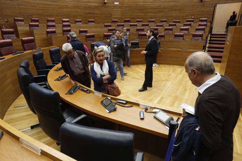 Fotos: Fotos de la jornada de puertas abiertas en Les Corts Valencianes