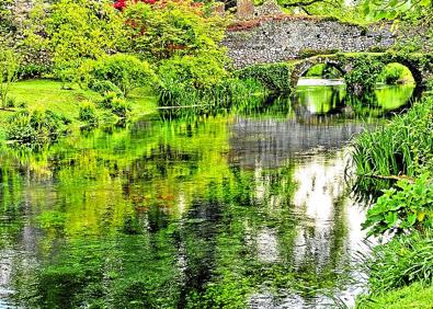 Imagen secundaria 1 - Ubicado entre las ruinas de la antigua ciudad medieval de Ninfa, en este espacio de singular belleza los árboles aceleran su crecimiento debido a sus particularidades climáticas.