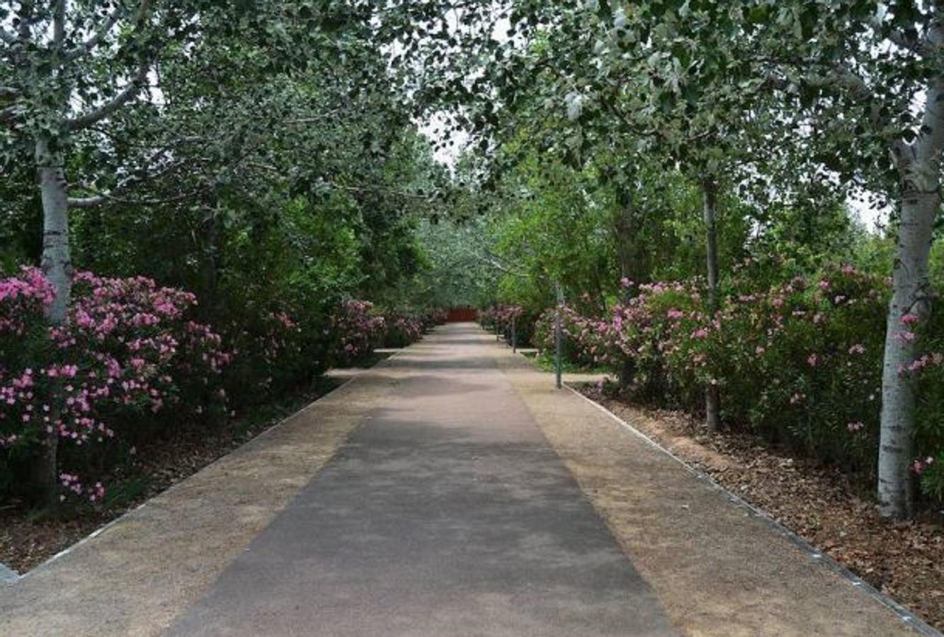 80.000 metros cuadrados: El parque de Marxalenes se trata de un lugar donde el agua y la tierra están presentes en todo momento. Además de su interés paisajístico, también posee valor cultural ya que cuenta con edificaciones que integran lugares como el aula de la naturaleza, una biblioteca infantil o una escuela de jardinería. 