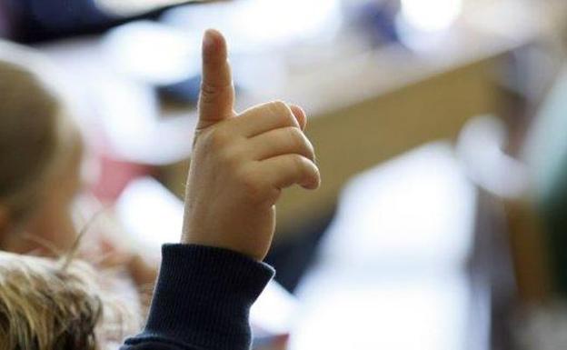 El TSJ plantea cambios en la admisión para elegir la lengua de enseñanza