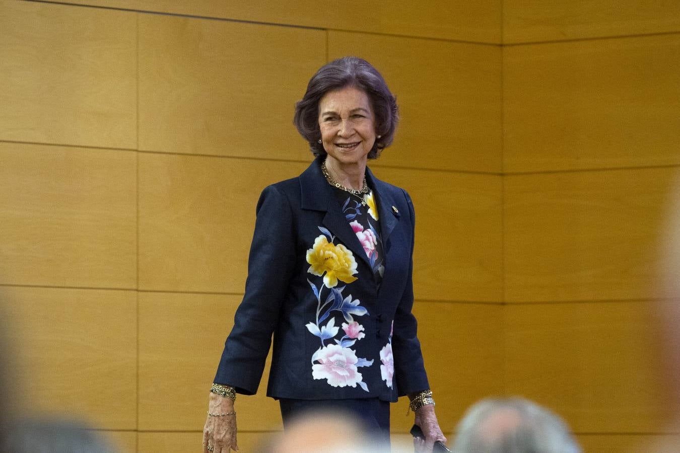 Doña Sofía, en su discurso, ha felicitado «a todas las personas, entidades y benefactores que hacen posible la fructífera labor de los bancos de alimentos» y ha subrayado que se trata de personas que «merecen todo nuestro apoyo y respeto por la dignidad de todos». 