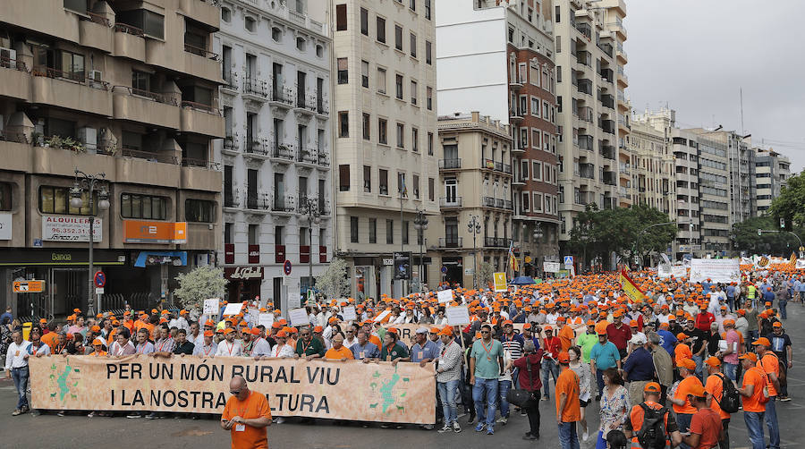 Fotos: Marea rural en Valencia