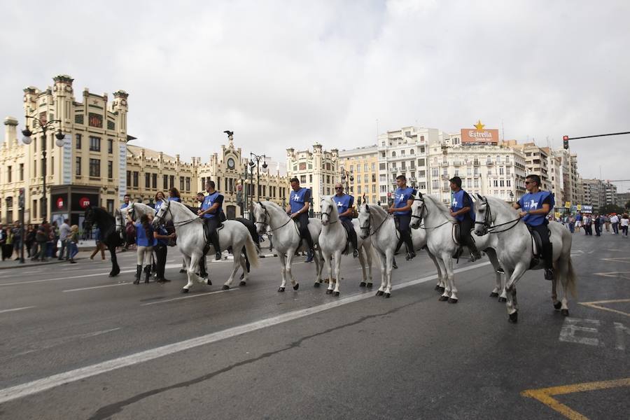 Fotos: Marea rural en Valencia