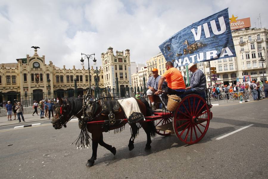 Fotos: Marea rural en Valencia