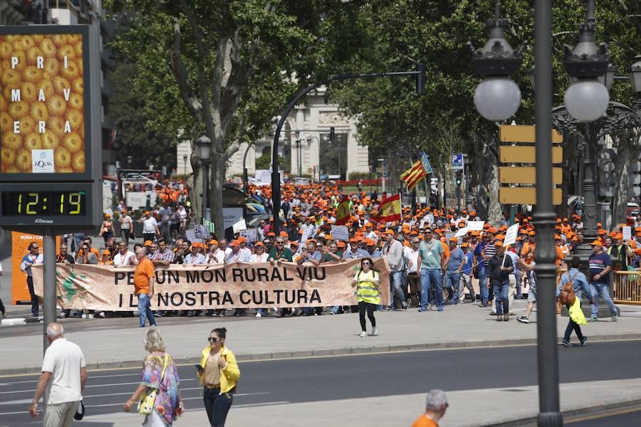 Fotos: Marea rural en Valencia