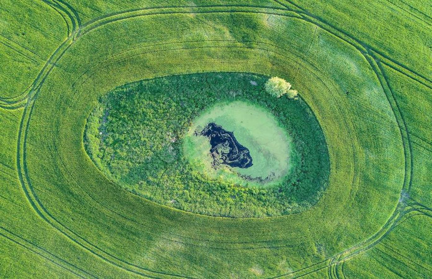 8. Estanque en medio de campos ubicados cerca de Petersdorf, Alemania.