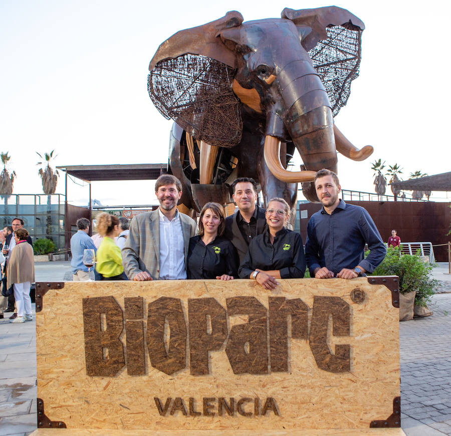 El alcalde de Valencia, Joan Ribó, el secretario autonómico de Turismo, Francesc Colomer, el escritor Santiago Posteguillo y el presidente de Rain Forest, José Maldonado, inauguran la impresionante escultura de un elefante africano, hito de la celebración del 10º aniversario del parque.