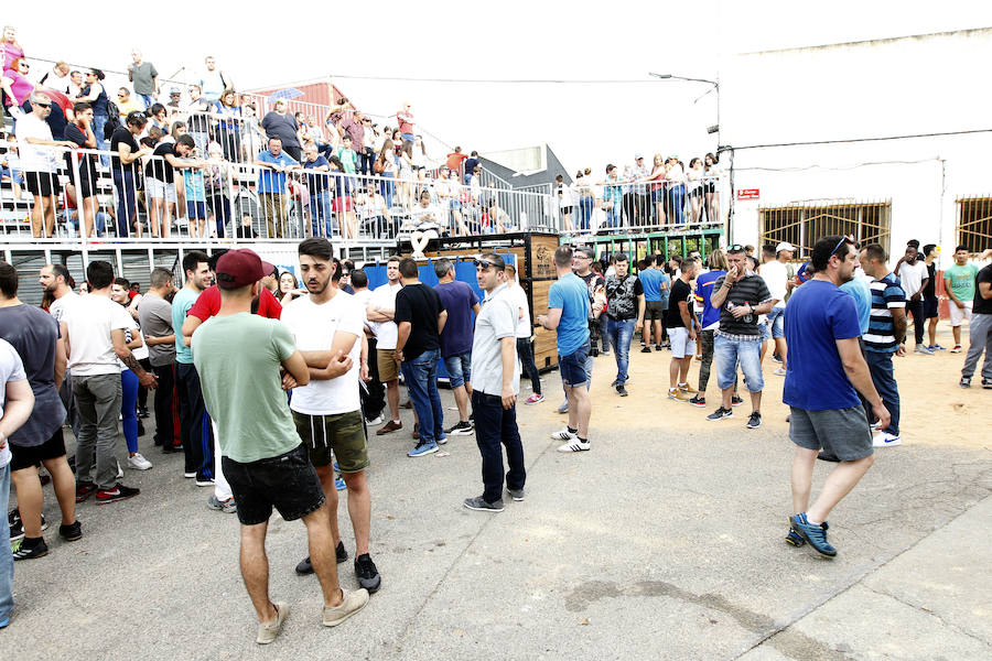 Festeros consternados tras la cogida en los Toros en Paiporta.