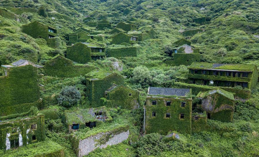 En cualquier caso, hasta un viaje visual como este merece la pena. Las fotografías dan fe del poder de Naturaleza ante la ausencia del hombre. La vida se abre camino.